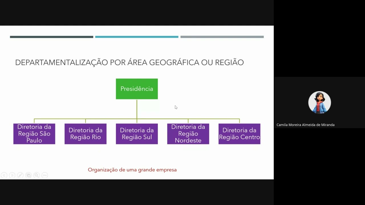 Aula 5 - Organização nas empresas