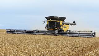 Download lagu New Holland CR11 with 61 ft. Wide MacDon FD261 Header Harvesting | The World's Biggest Harvest Setup mp3