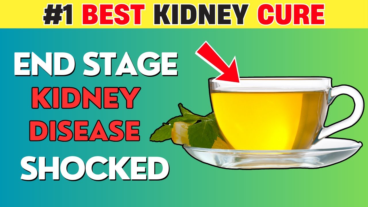 This is the #1 MOST POWERFUL Kidney Disease Cure and Reduce Creatinine Fast | PureNutrition