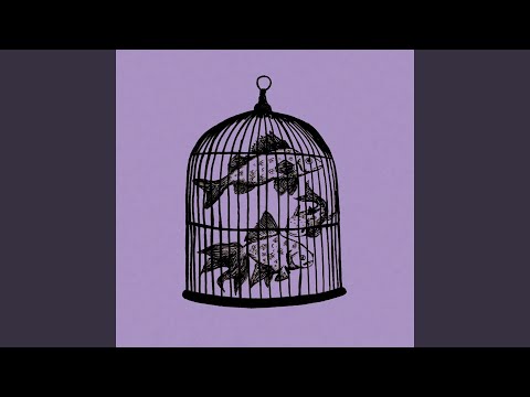 Rule 22 - If Trees Could Talk - Fish in a Birdcage