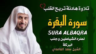 Download lagu الشيخ سعد الغامدي  سورة البقرة النسخة الأصلية    Sheikh Saad Al Ghamdi  Surat Al Baqarah mp3 Download lagu الشيخ سعد الغامدي  سورة البقرة النسخة الأصلية    Sheikh Saad Al Ghamdi  Surat Al Baqarah mp3