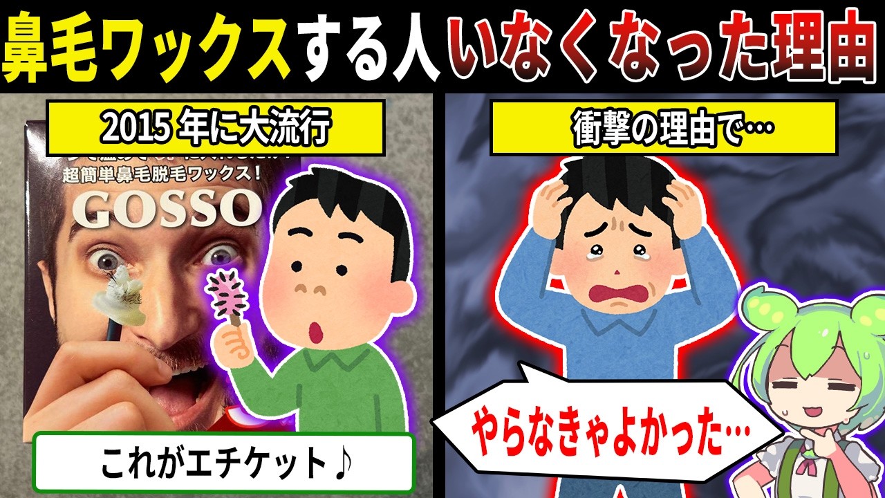 鼻毛ワックスする人完全にいなくなった理由【ずんだもん＆ゆっくり解説】