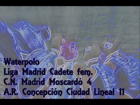 Partido wp Liga Madrid Cadete fem  Moscardo   Concepcion