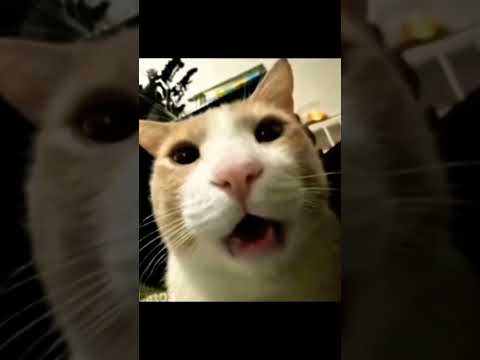 #happy friendship day 💫#