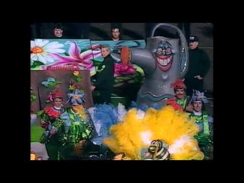 1996 Duffy String Band "Rhythem And Blooms" - 19th Place