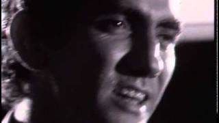 PAUL KELLY - Darling It Hurts