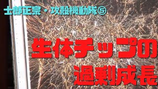 【士郎正宗・攻殻機動隊⑤】人間が思ってもない形に過剰成長していく生体チップ