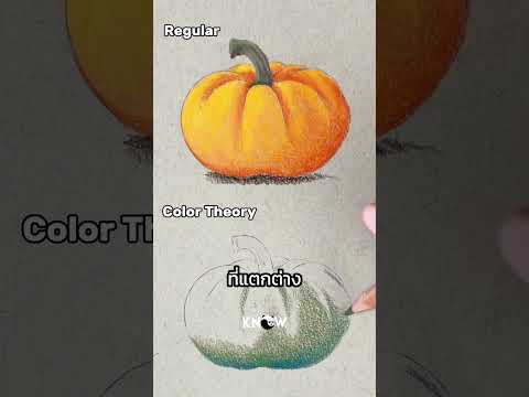 ทฤฎีการใช้สีตรงข้ามแบบมืออาชีพ