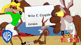 Looney Tuesdays | The Best (Or Worst) of Wile E. Coyote | Looney Tunes | WB Kids