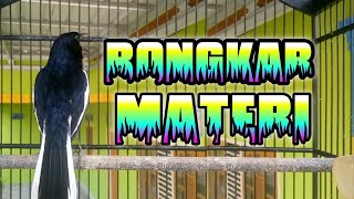 Download lagu pancingan kacer agar bongkar isian|kacer bongkar isian mp3