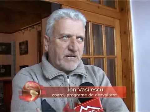 Pregatire la unison