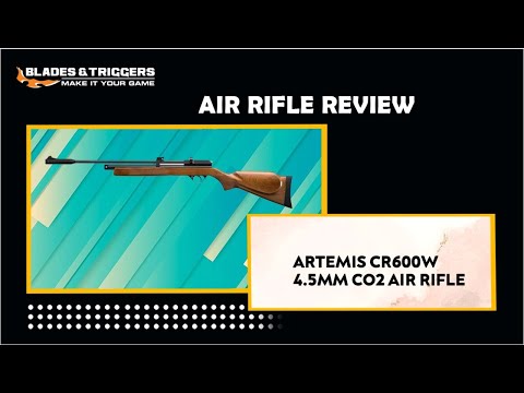 Artemis Air Rifle Unboxing and Review