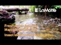 Freshwater Aquatic Macroinvertebrate: Insect Identification Flashcards