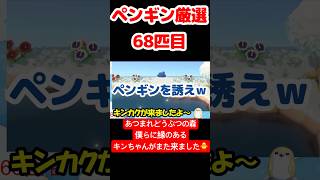 【あつ森】ペンギン厳選68匹目 #vtuber  #ゲーム実況