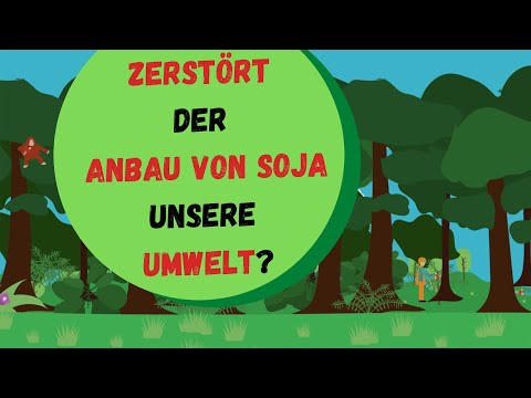 Soya – curse or blessing? | counting peas