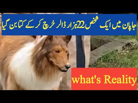 Japani Shakhas 22 Hazar Dollar laga kar Kutta Ban Gaya | isalm Sy Dori Ka Ibratnak Injam