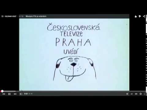 maxipes fík za volantem