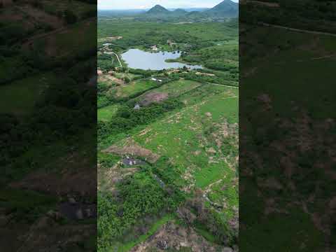Açudes do Sítio Cantinho, Itaporanga-PB. 🏞🌵 #açude #paraiba #nordeste #sertão #viralshorts #shorts