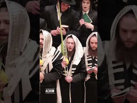 Bobov Rebbe shaking the Lulov and esrog sukkos