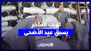 لهيب “الفاخر" يسبق عيد الأضحى.. أسعار الفحم الخشبي تصل لمستويات خيالية thumbnail