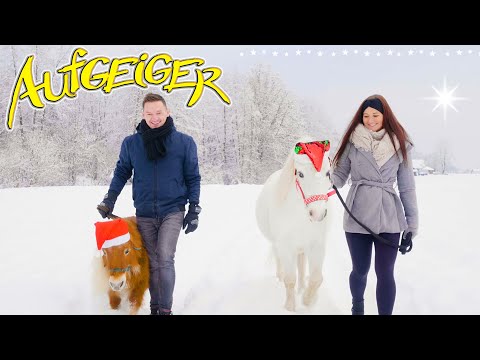 AUFGEIGER - Mei Wunschbrief an di - Das offizielle Video