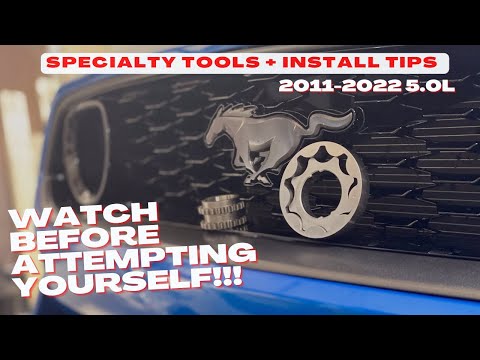 How to Install Oil Pump Gears Tips and Tools