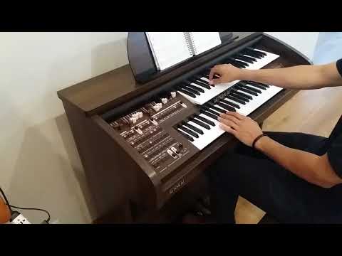 Tokai MD-7 - Hino 32 - Tiago Aquilano