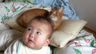 Oh, and while we're in cat/baby comparison mode, you should probably check this out.