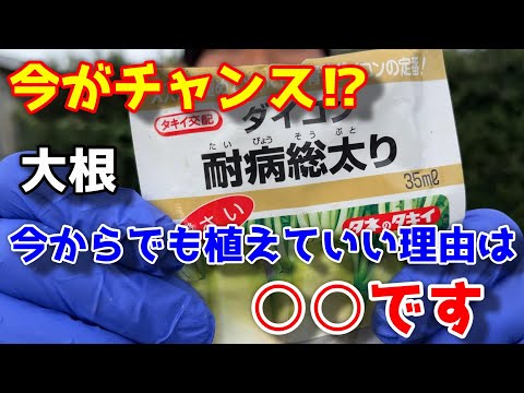 1月に温室に何を播種しますか？欠かせない野菜と花  庭園