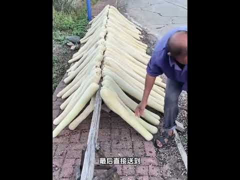 没想到毫不起眼的丝瓜络还有这么多用处