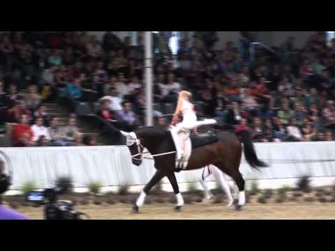 RuFV Hilden - Team I - Juniorteam - DJM Verden - Kür 1