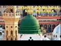 Eid Milad Ul Nabi Whatsapp Status 2021 12 Rabi Ul Awwal Mubarak Coming Soon Eid Milad Un Nabi