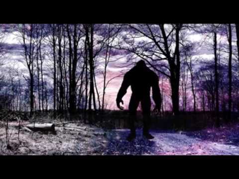 More chilling howls recorded in northern manitoba! Breakdown