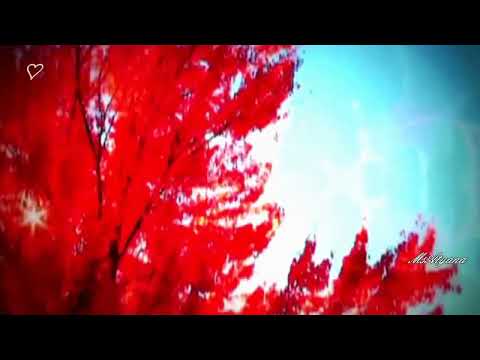 Ретро 60 е - Легендарный советский шлягер - Август (плейлист)