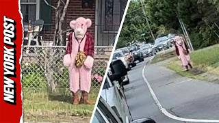 Creep In Pink Panther Costume Allegedly Hunts Down Kids In Virginia – Nearly Abducts Little Girl