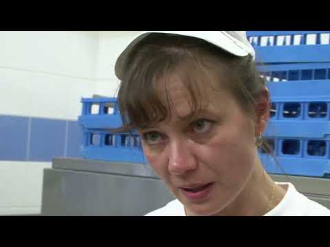 ŽENY VRAŽEDKYNĚ (Josef Klíma: Jak jsem přežil devadesátky)