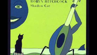 Robyn Hitchcock  &#39;&#39;Because you&#39;re over&#39;&#39;