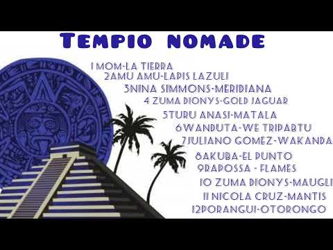 dj Friso Tempio nomade