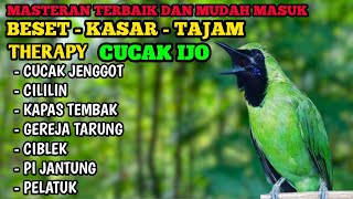 Download lagu CUCAK IJO, MASTERAN CUCAK IJO FULL TEMBAKAN KASAR, MASTERAN CUCAK IJO, part 2. mp3 Download lagu CUCAK IJO, MASTERAN CUCAK IJO FULL TEMBAKAN KASAR, MASTERAN CUCAK IJO, part 2. mp3