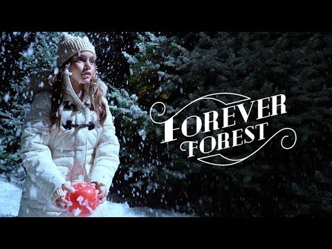 Forever Forest Single-Day All-Access Admission Ticket for One, Two, Three, or Four with Up to 29% Off - Second Medium
