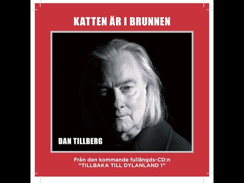 Dan Tillberg -  Katten är i brunnen
