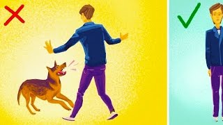 12 WAYS TO REACT IN AN EMERGENCY TO SAVE LIVES