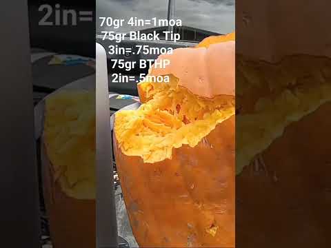 AMMO REVIEW: 9mm +P 124 gr Hornady XTP in Calibrated Gel (2021)