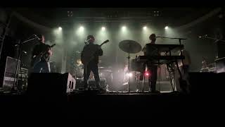 Local Natives - Wooly Mammoth