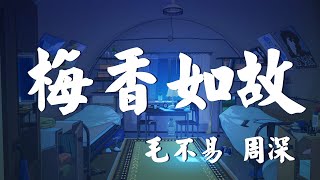 毛不易 周深【梅香如故】『動態歌詞lyrics』『 無損音質』若有來世 盼你我 結尋常布衣再相約不離不棄 - RARE MUSIC製作