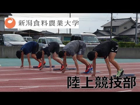 【食・農・ビジネスを学ぶ食の総合大学】陸上競技部の紹介