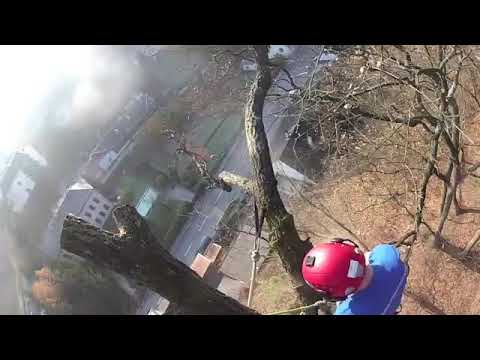 Cut Above Arb video.