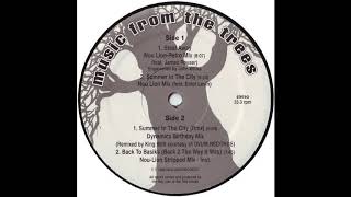 MUSIC FROM THE TREES ‎– BACK TO BASIKS (NOU-LION STRIPPED MIX - INST.) (NL001)