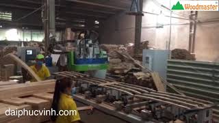 Woodmaster. MÁY LÀM MỘNG ÂN CNC NHIỀU ĐẦU