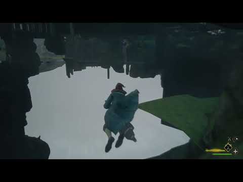 I fell through the floor and bumped into an old friend | Hogwarts Legacy